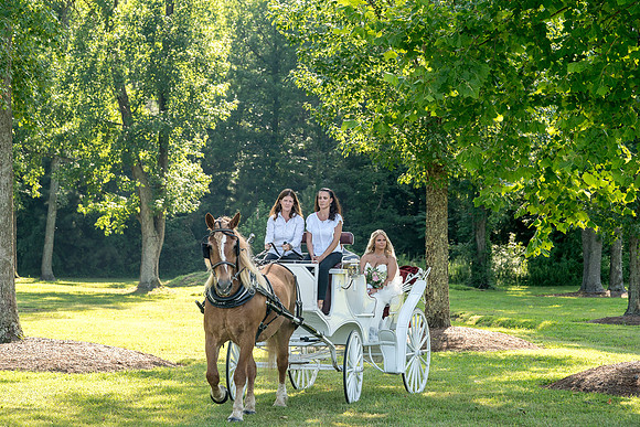 Anne & Justin's Wedding Final-213