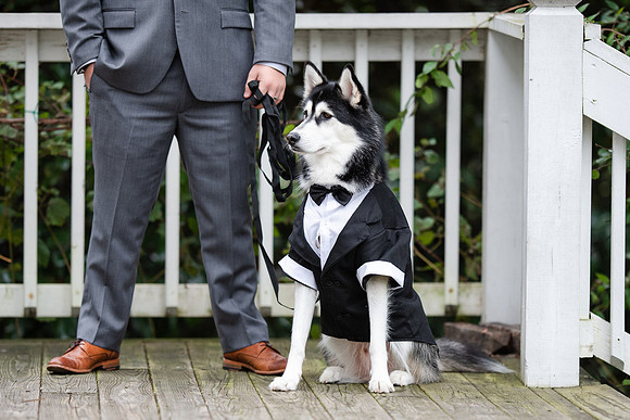 Sarah & Tim's Wedding-263