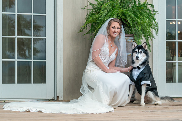 Sarah & Tim's Wedding-264