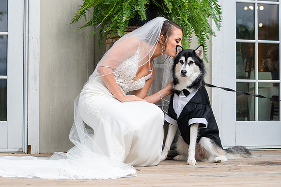 Sarah & Tim's Wedding-265