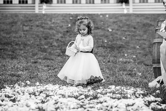 Sarah & Tim's Wedding-354
