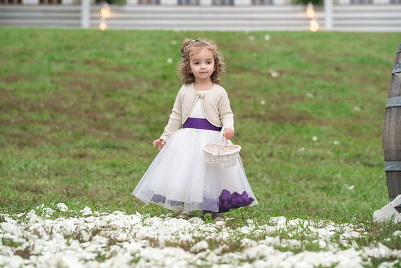 Sarah & Tim's Wedding-355