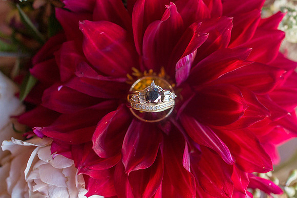 Taylor & Philip's Wedding-659