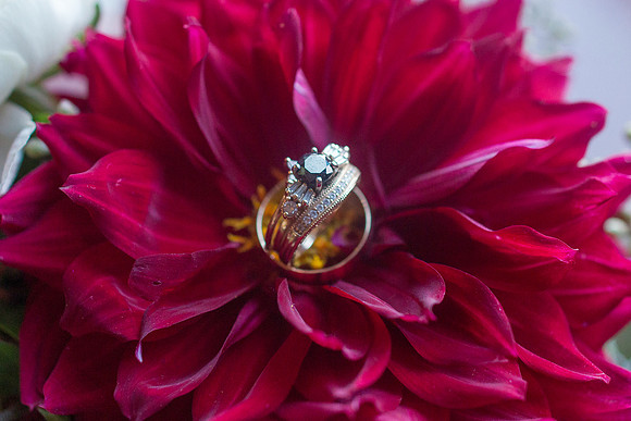 Taylor & Philip's Wedding-658