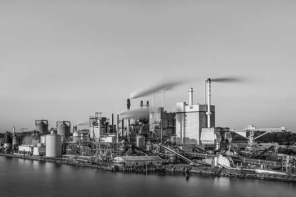 C&F 20X30 Print-3