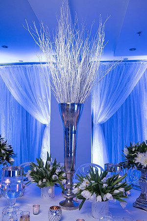 Kim Moody Designs-29