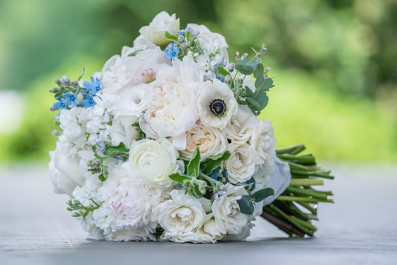 Alanna & Creston's Wedding Preview-9