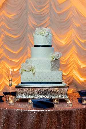 Nina & Brandon's Wedding Final-279