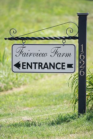 Gabby & Bryan's Elopement-2