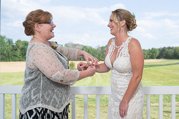 Michelle & Brandon's Wedding Web -3