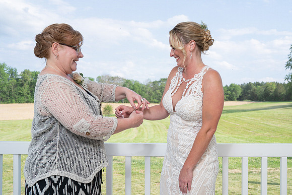 Michelle & Brandon's Wedding Web -4