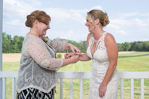 Michelle & Brandon's Wedding Web -5