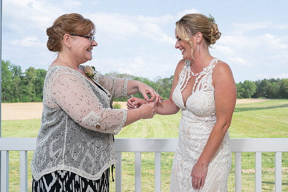 Michelle & Brandon's Wedding Web -7