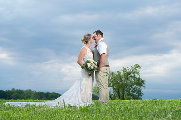 Michelle & Brandon's Wedding Web -41