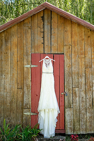 Holly & Tamon's Wedding Final-3