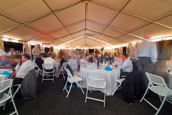 The Reception17