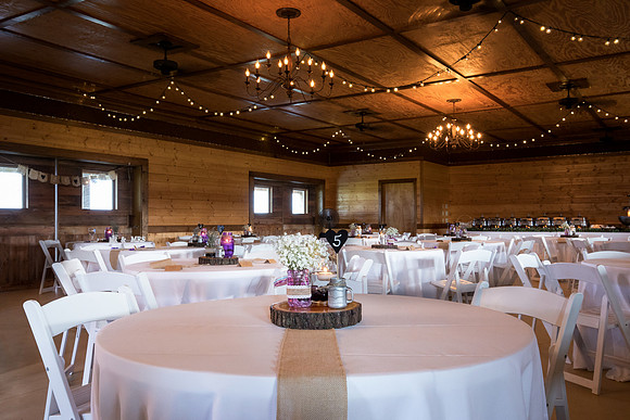 The Reception3