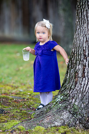 The Reception15