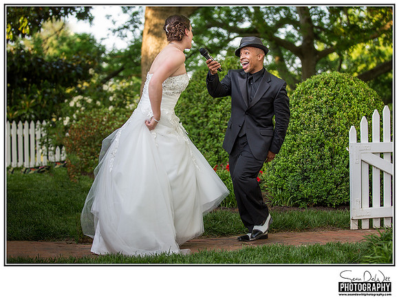 The Reception web