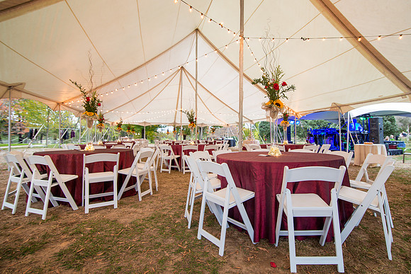 The Reception