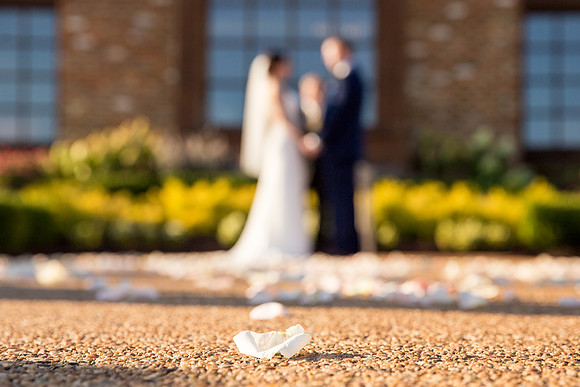 The Ceremony36.1